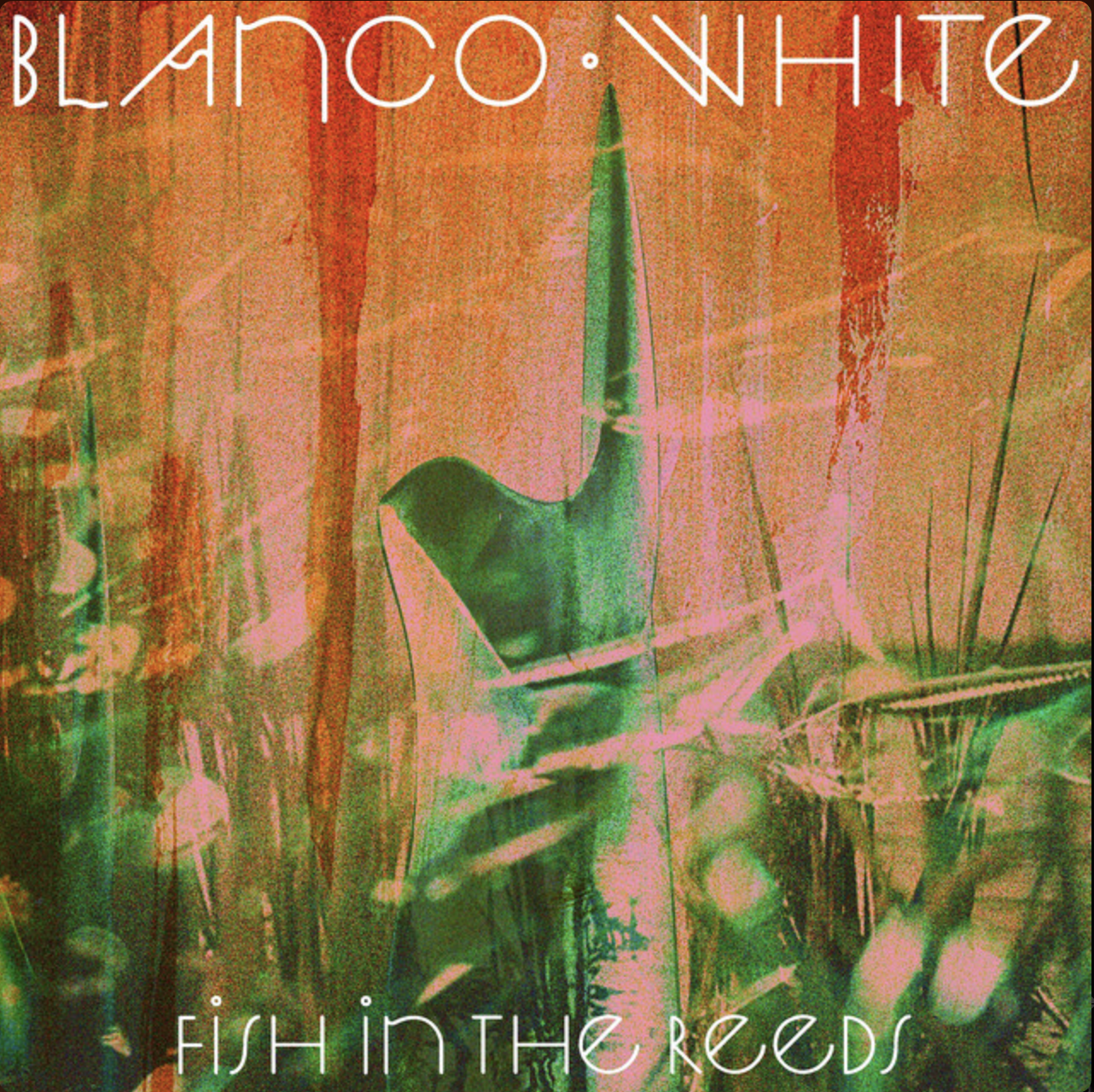Blanco White - Fish in The Reeds